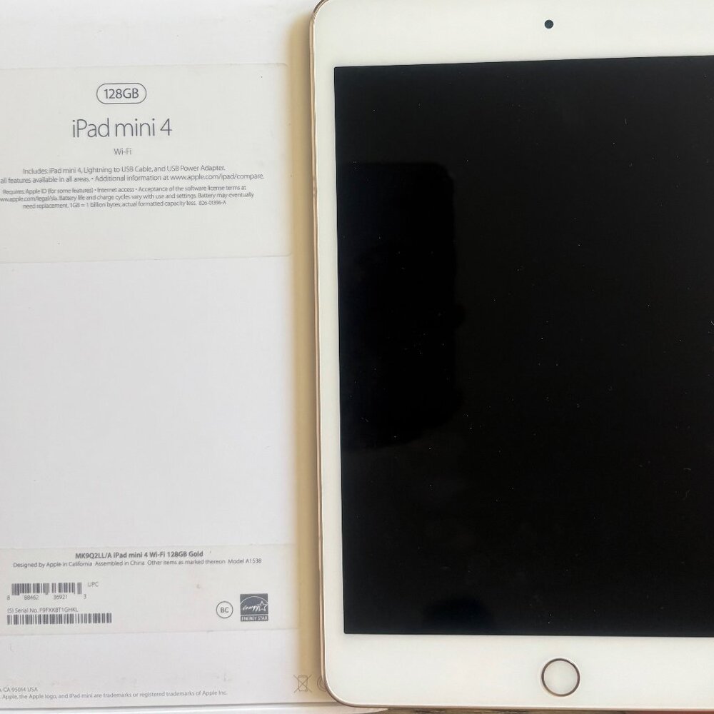 iPad